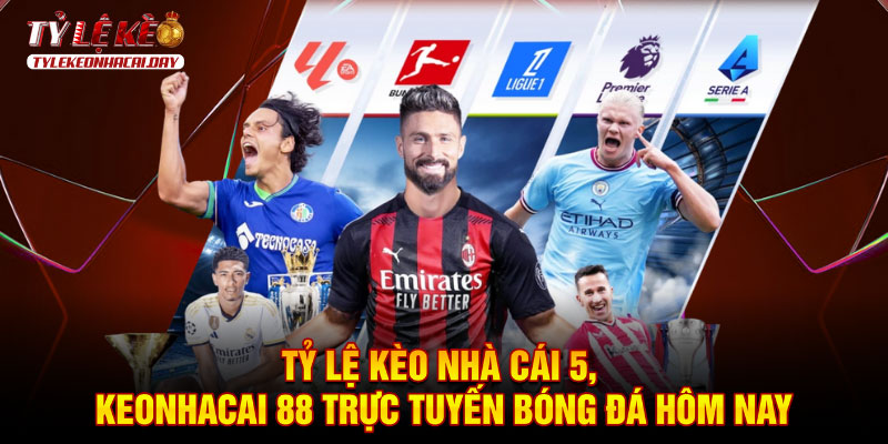 Tylekeonhacai.day - Trang cập nhật tỷ lệ kèo nhanh chóng, chính xác 24/7